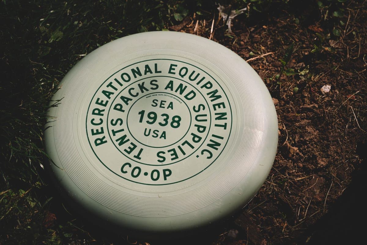A flying disc mid-air in a park on a summer day